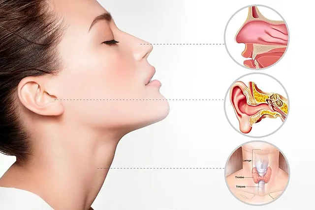 perda auditiva ouvido- nariz -garganta