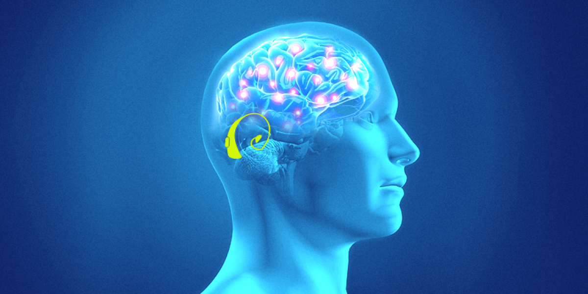 cérebro e audição cérebro e audição